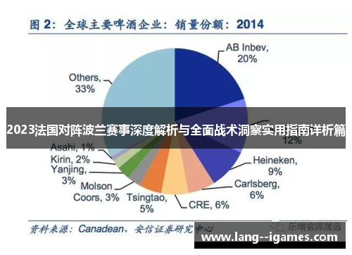 2023法国对阵波兰赛事深度解析与全面战术洞察实用指南详析篇