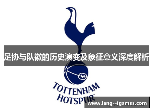 足协与队徽的历史演变及象征意义深度解析